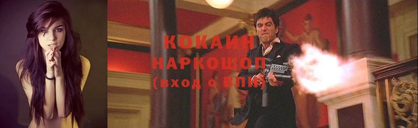 метадон Богданович
