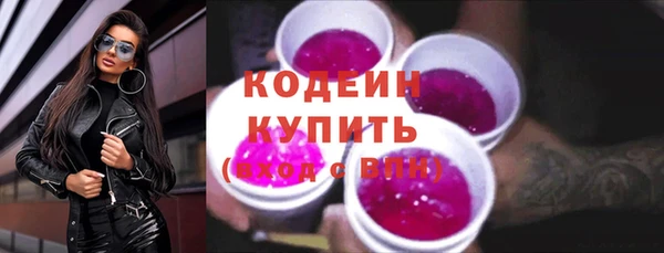 метадон Богданович
