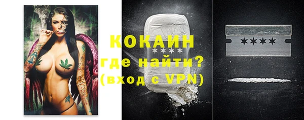 метадон Богданович